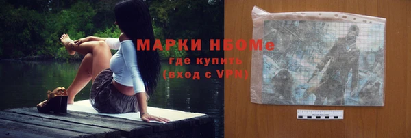 тгк Каменка