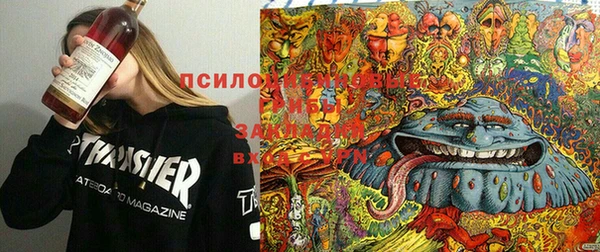 тгк Каменка